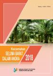 Kecamatan Seluma Barat Dalam Angka 2018