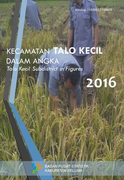 Talo Kecil Subdistrict In Figures 2016