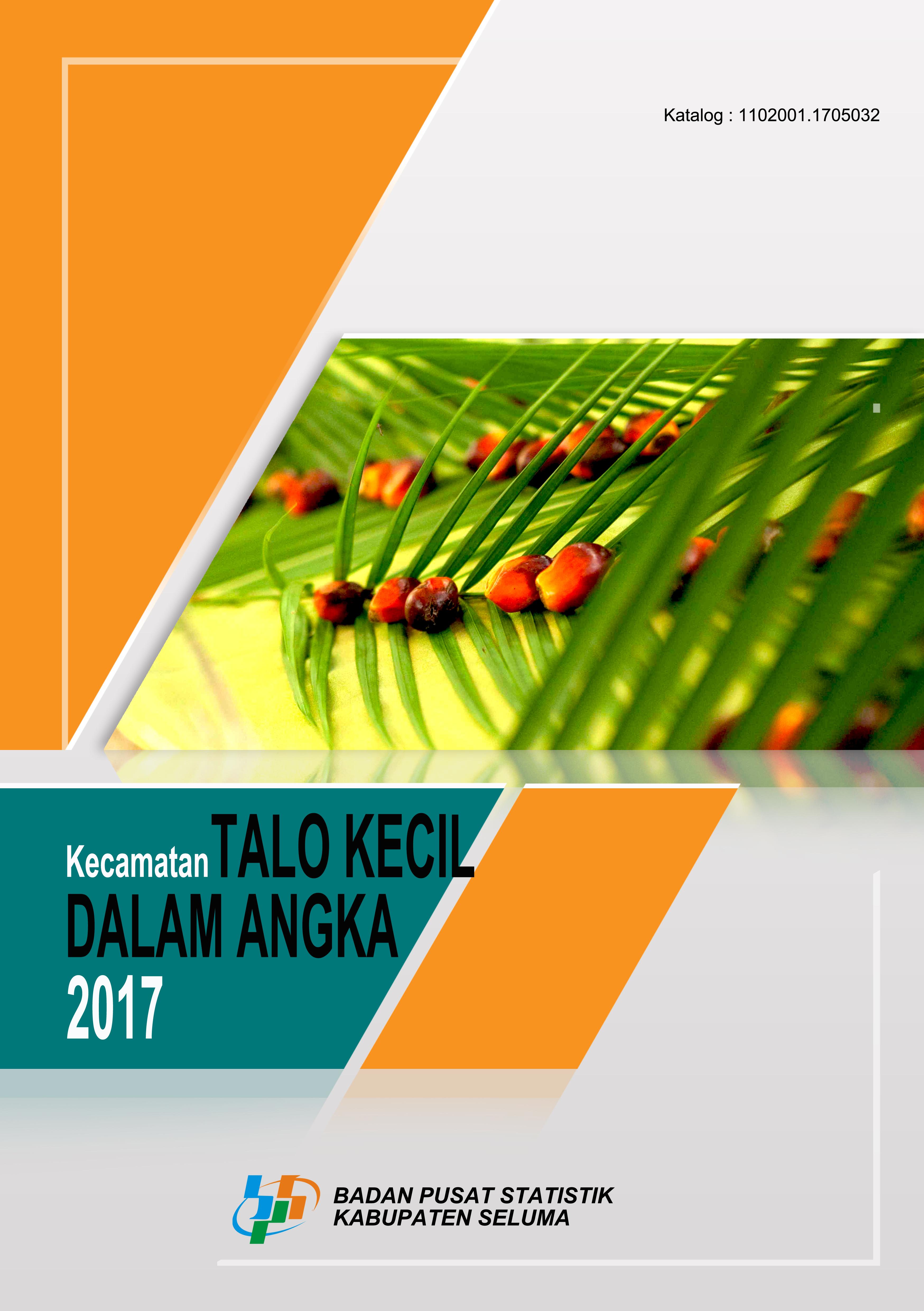 Talo Kecil Subdistrict in Figures 2017