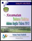 Kecamatan Seluma Selatan Dalam Angka 2013