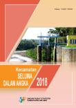 Kecamatan Seluma Dalam Angka 2018